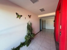 Venta-Paseo-Gallesio