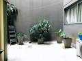 HERMOSO PATIO PROPIO