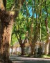 Callecitas arboladas